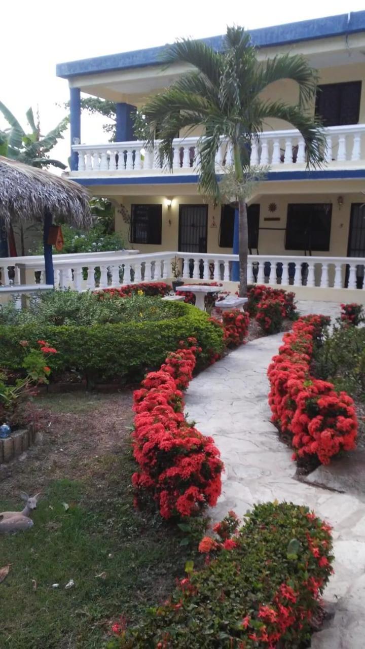 Sana El Jardin Secreto Hostel Santiago De Los Caballeros Buitenkant foto