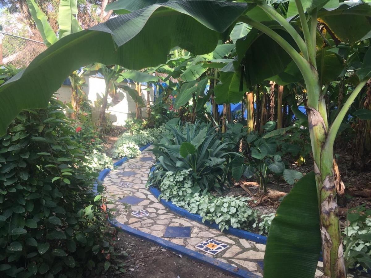 Sana El Jardin Secreto Hostel Santiago De Los Caballeros Buitenkant foto